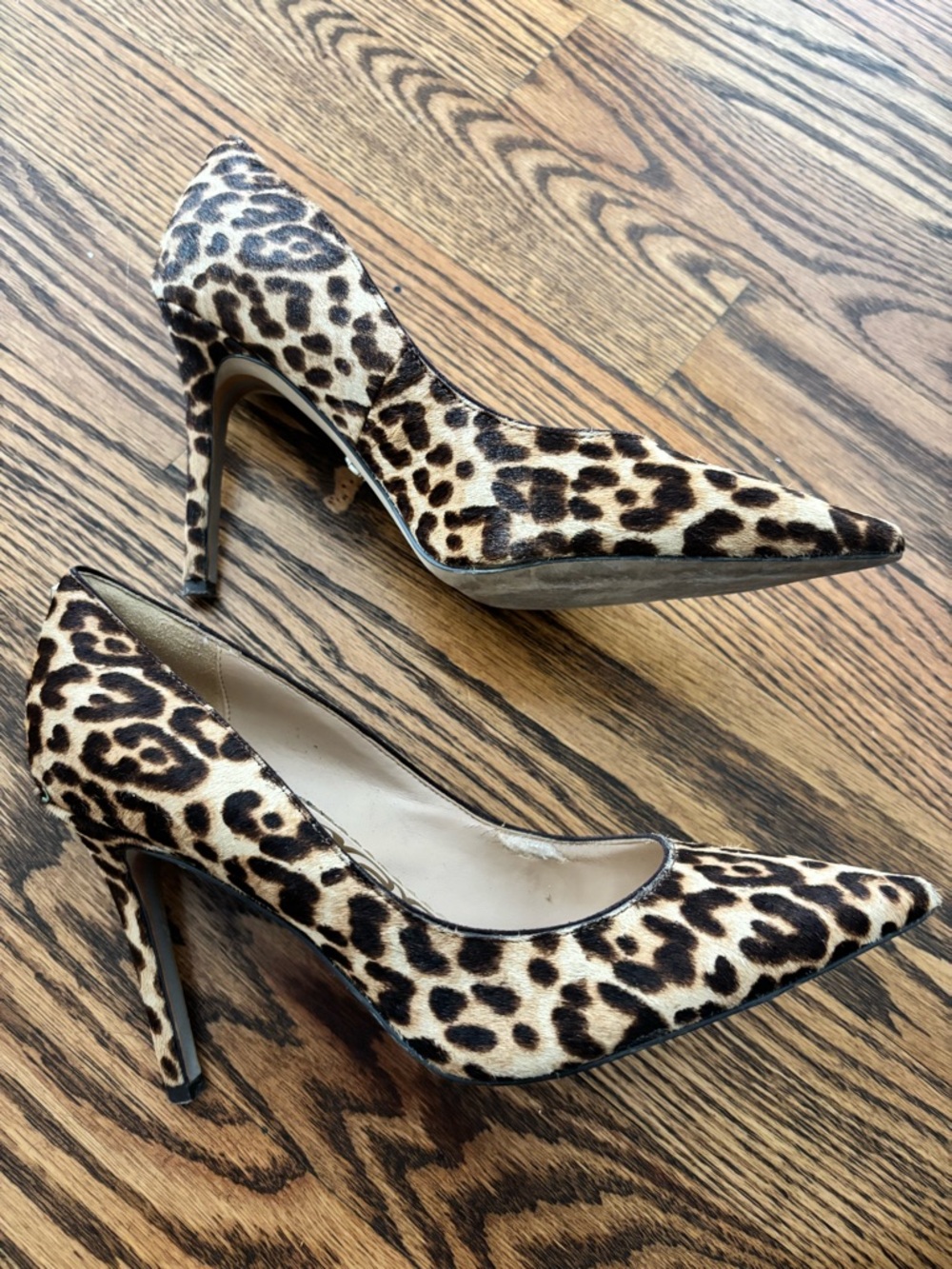 Sam Edelman Leopard Print Pointed Pumps - Brown/Black - Picture 3 of 5